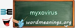 WordMeaning blackboard for myxovirus